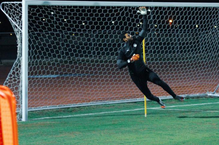 محمد الشناوي